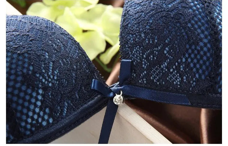 Luxurious Vintage Lace Push Up Bra Set ANB94