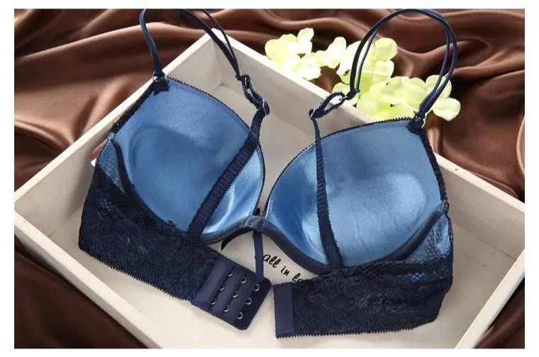 Luxurious Vintage Lace Push Up Bra Set ANB94