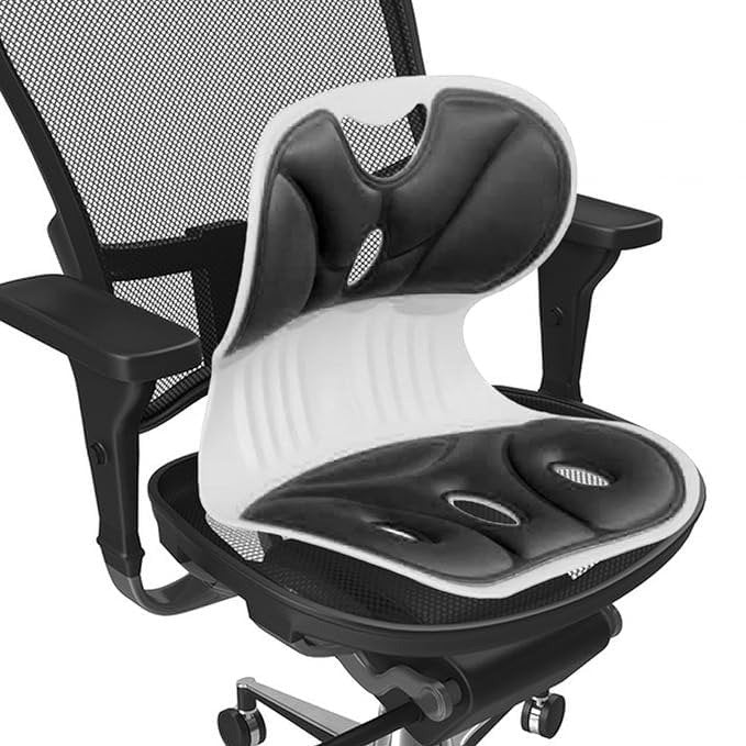 Back Support Office Chair