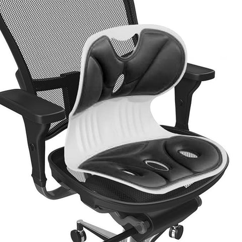 Back Support Office Chair
